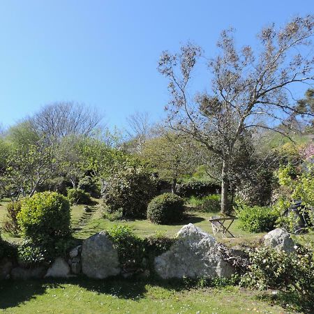 Fern Villa B&B Fishguard Dış mekan fotoğraf