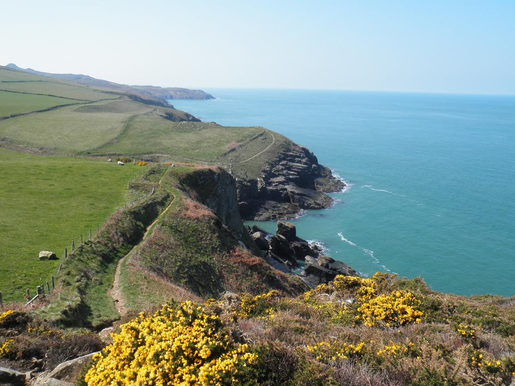 Fern Villa B&B Fishguard Dış mekan fotoğraf