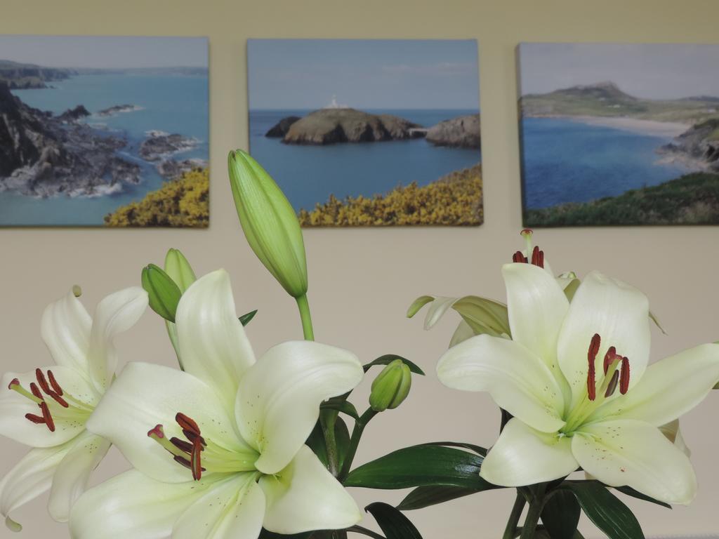 Fern Villa B&B Fishguard Dış mekan fotoğraf